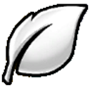 Druida